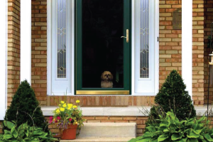 storm door designs